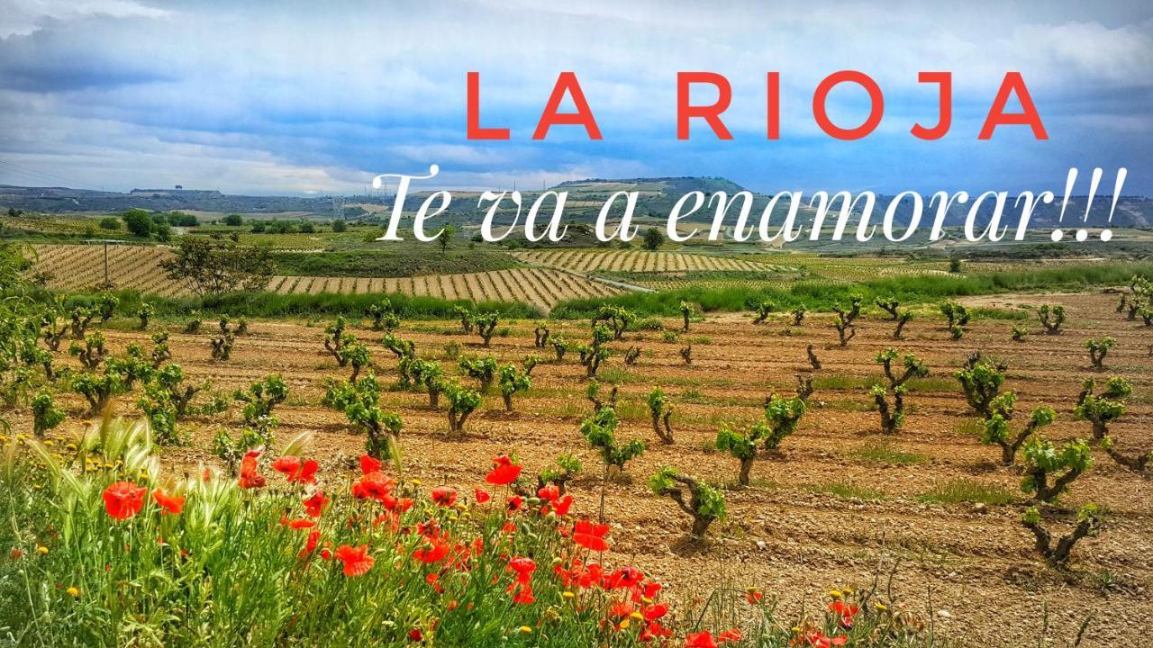 El Rincon Del Marques Centro Con Encanto By Apartamentos Logroño Eksteriør bilde